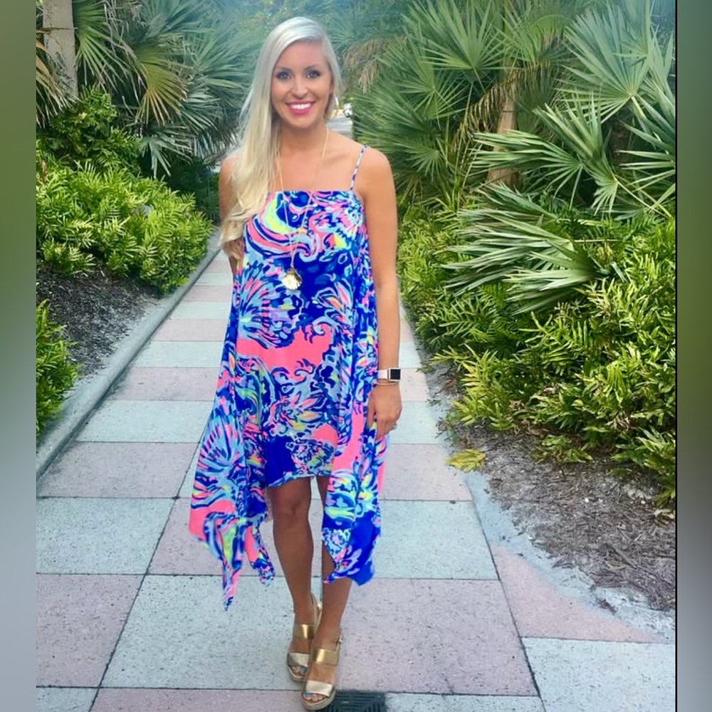 Lilly Pulitzer NWT 🦄 Kimi Silk Dress 🦄 Coastal Retreat Size XXS Holy Grail! - Picture 5 of 15